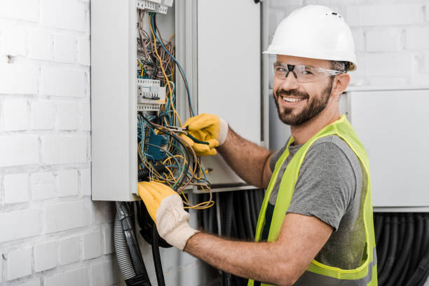 Best Home Electrical Repair  in Manitou Beach Devils Lake, MI